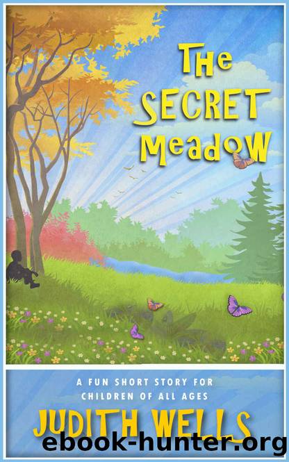 The Secret Meadow by Judith Wells