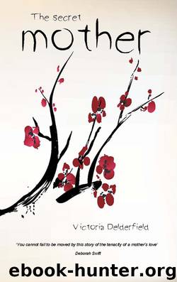 The Secret Mother by Victoria Delderfield
