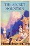 The Secret Mountain (tss-3) by Enid Blyton