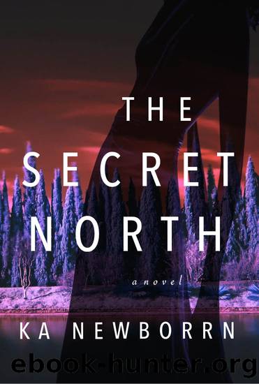 The Secret North by Ka Newborrn