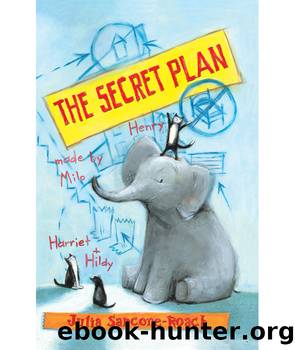 The Secret Plan by Julia Sarcone-Roach