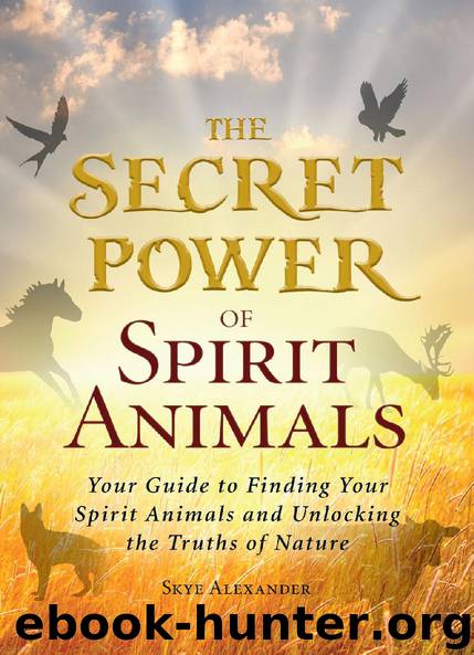 The Secret Power of Spirit Animals by Skye Alexander