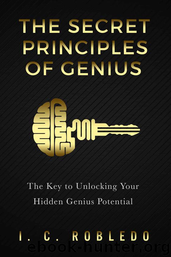 The Secret Principles of Genius by I C Robledo