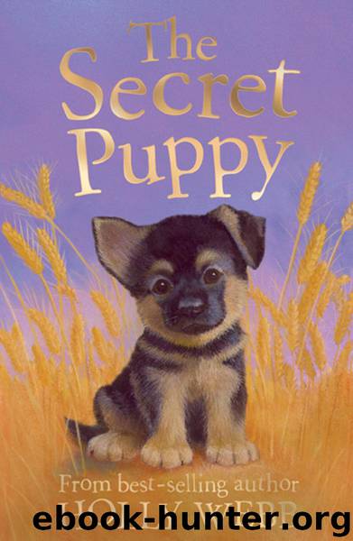 The Secret Puppy by Holly Webb