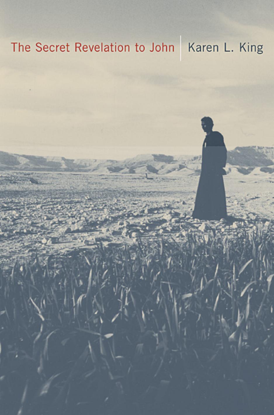 The Secret Revelation of John by Karen L. King