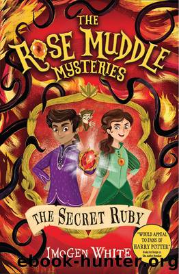The Secret Ruby by Imogen White