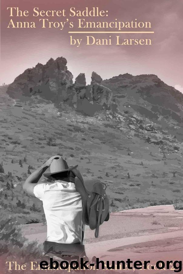 The Secret Saddle: Anna Troy's Emancipation (The Emancipation Series Book 2) by Larsen Dani