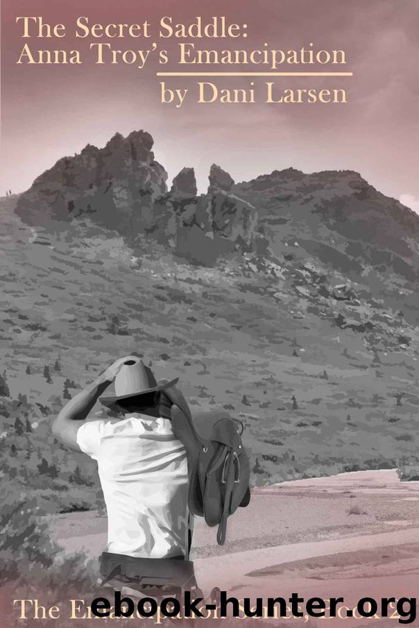 The Secret Saddle_Anna Troy's Emancipation by Dani Larsen