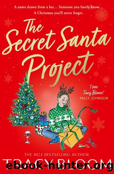 The Secret Santa Project by Tracy Bloom