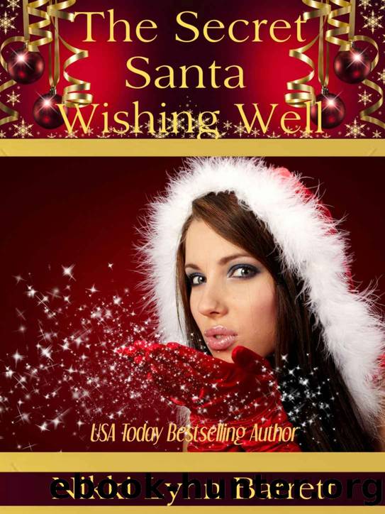 The Secret Santa Wishing Well by Nikki Lynn Barrett