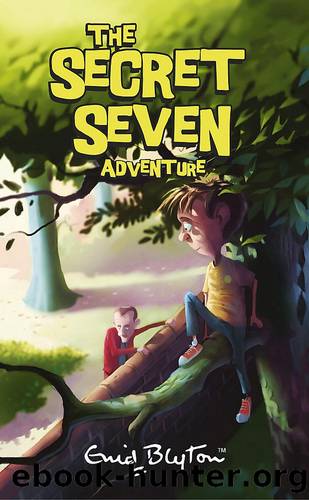 The Secret Seven Adventure by Enid Blyton