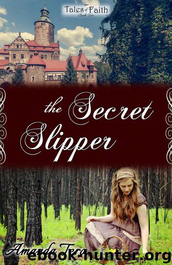 The Secret Slipper by Amanda Tero