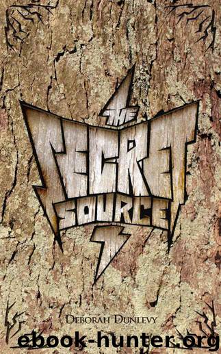The Secret Source (The Book of Sight 3) by Dunlevy Deborah