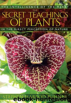 The Secret Teachings of Plants by Stephen Harrod Buhner