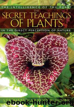 The Secret Teachings of Plants: The Intelligence of the Heart in the Direct Perception of Nature by Stephen Harrod Buhner
