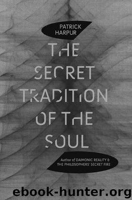 The Secret Tradition of the Soul by Patrick Harpur