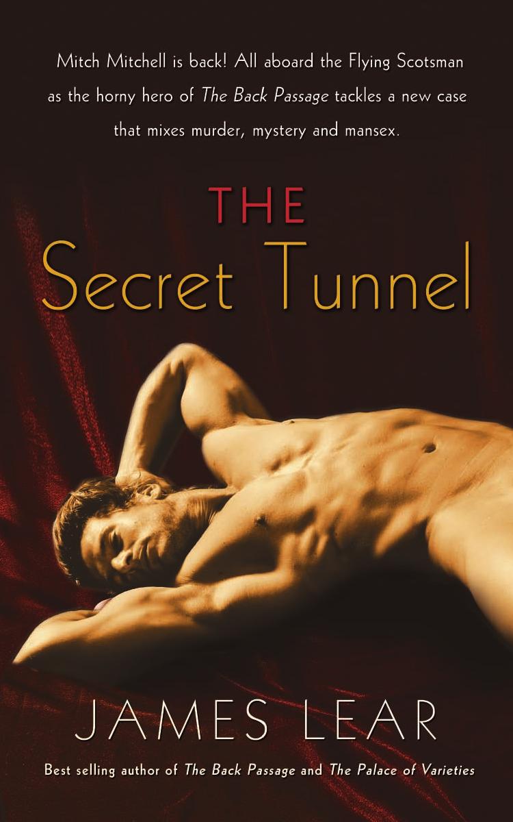 The Secret Tunnel by Lear James