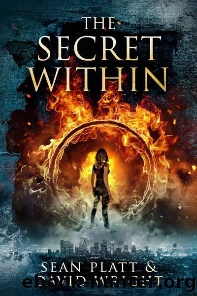 The Secret Within by Sean Platt & David W. Wright