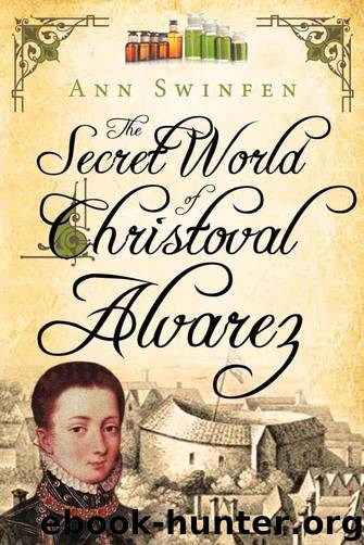 The Secret World of Christoval Alvarez by Ann Swinfen