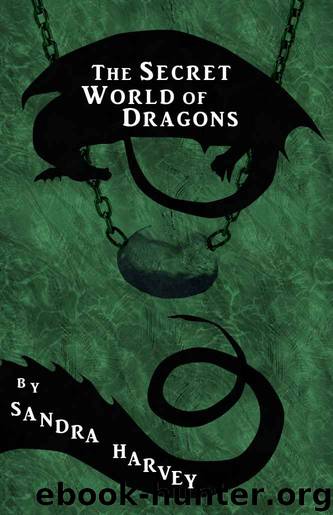 The Secret World of Dragons by Sandra Harvey
