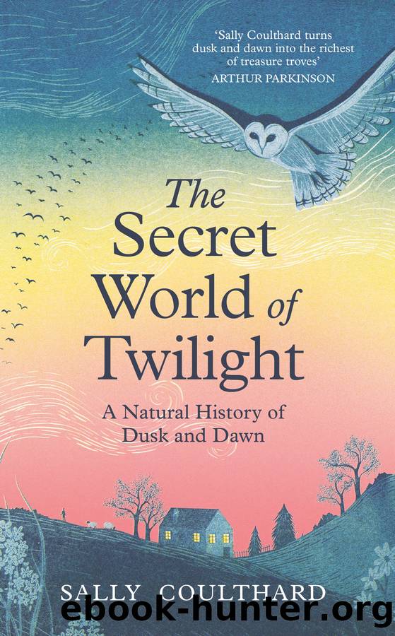 The Secret World of Twilight by Sally Coulthard