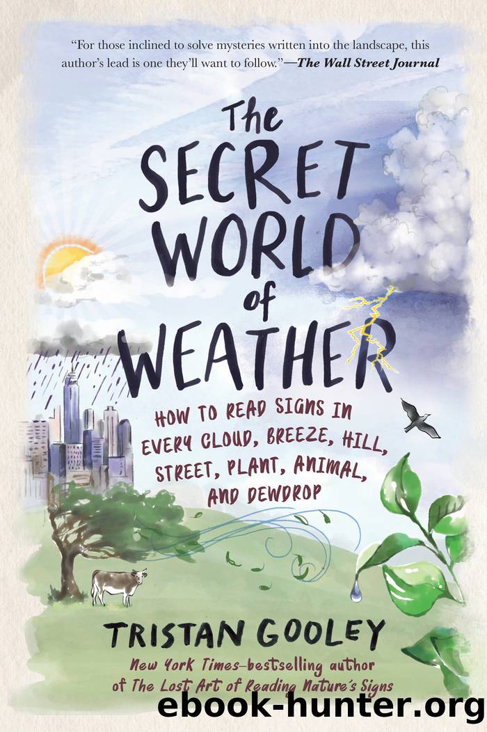 The Secret World of Weather by Tristan Gooley