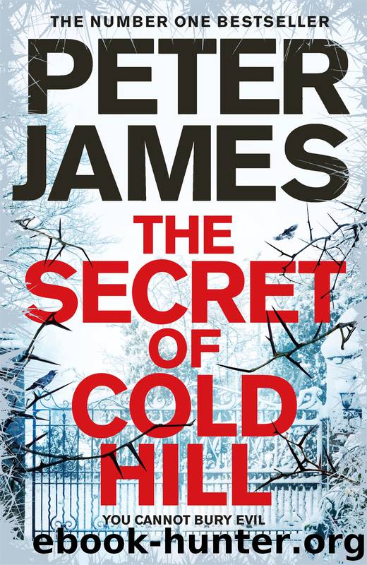The Secret of Cold Hill by Peter James