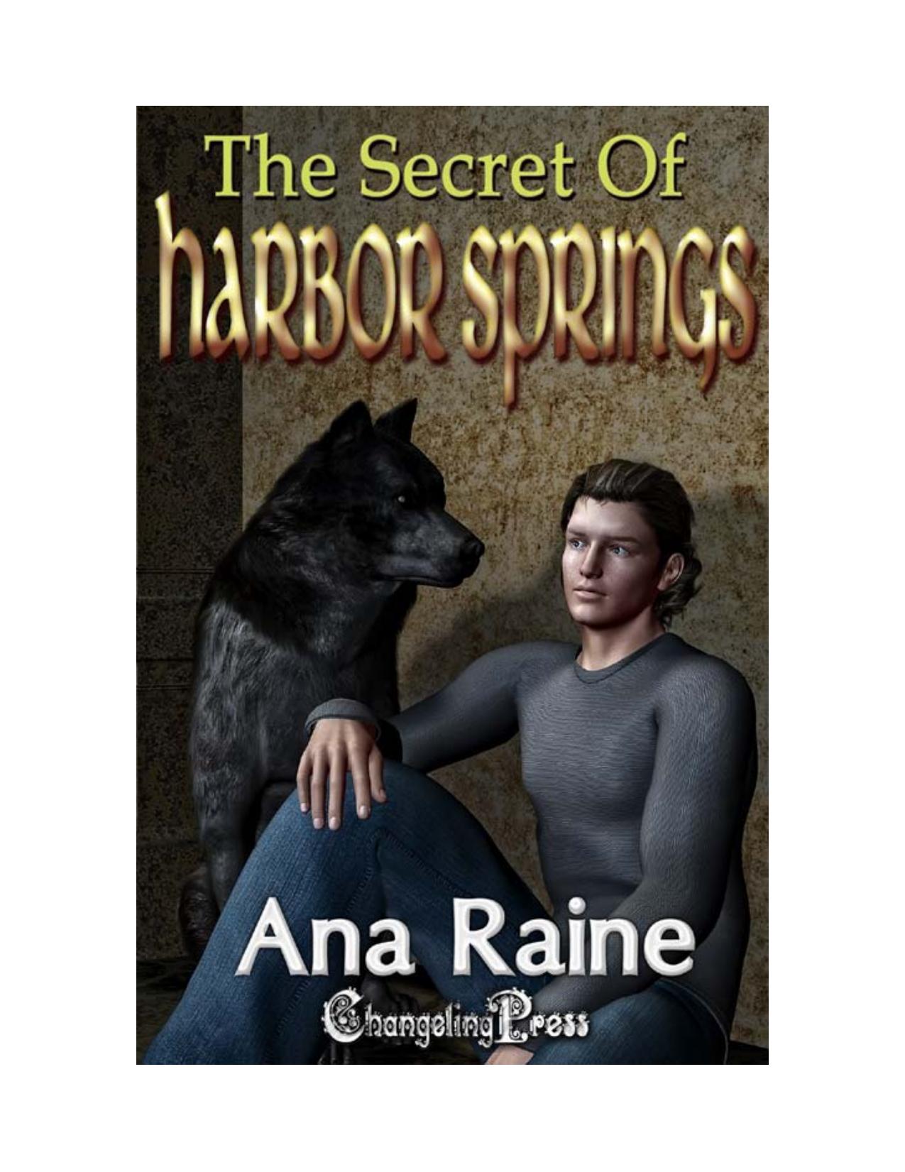 The Secret of Harbor Springs (Hidden Oaks 2) by Ana Raine