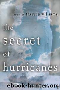 The Secret of Hurricanes by Theresa Williams