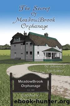 The Secret of MeadowBrook Orphanage by Dc Johnson & Ron Rowan