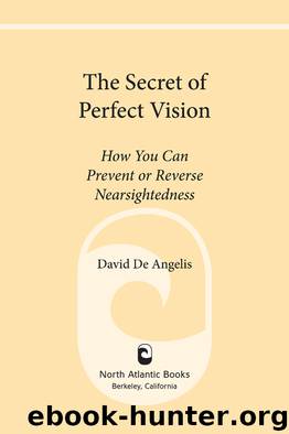 The Secret of Perfect Vision by David De Angelis
