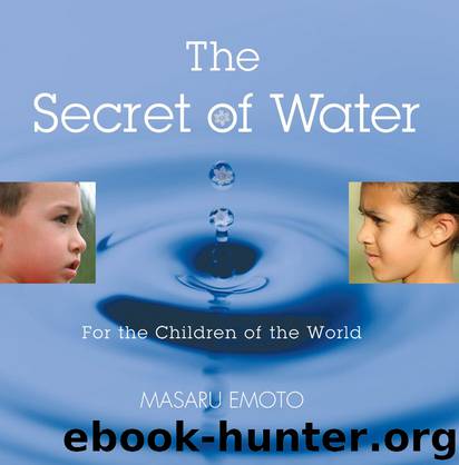 The Secret of Water by Masaru Emoto