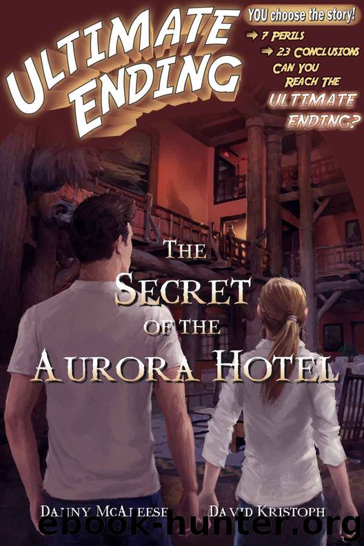 The Secret of the Aurora Hotel by Danny McAleese & David Kristoph