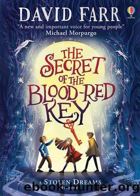 The Secret of the Blood-Red Key by David Farr