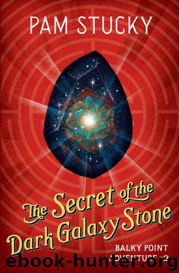 The Secret of the Dark Galaxy Stone by Pam Stucky