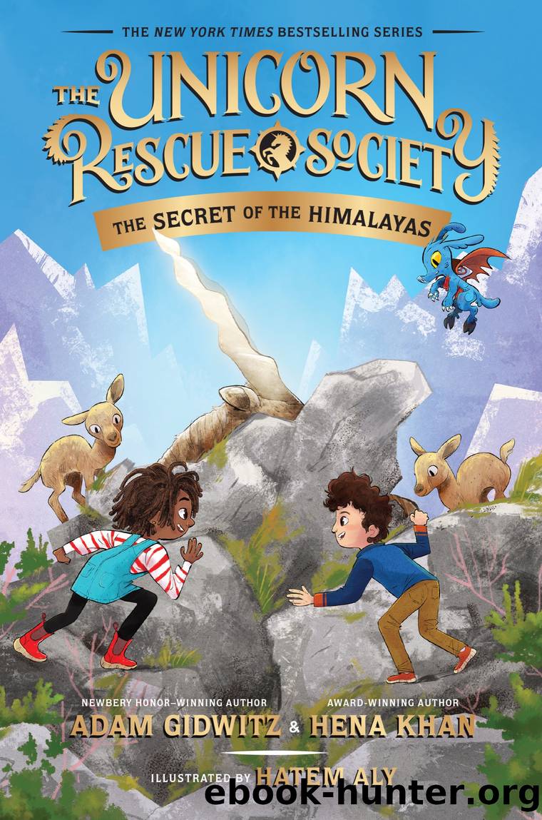 The Secret of the Himalayas by Adam Gidwitz & Hena Khan