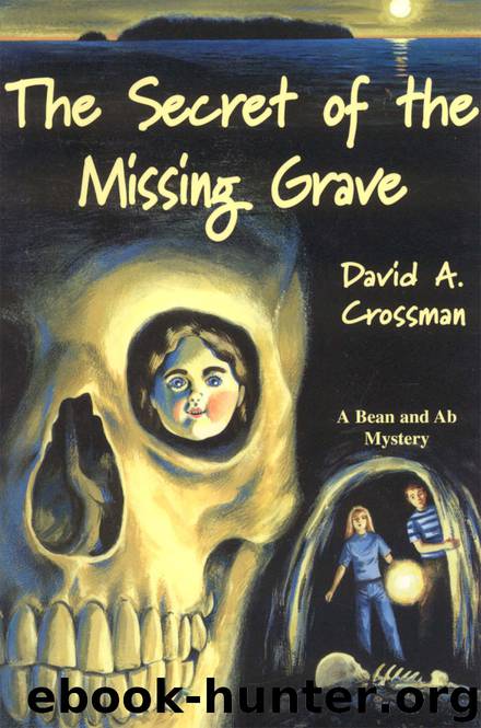 The Secret of the Missing Grave by David Crossman