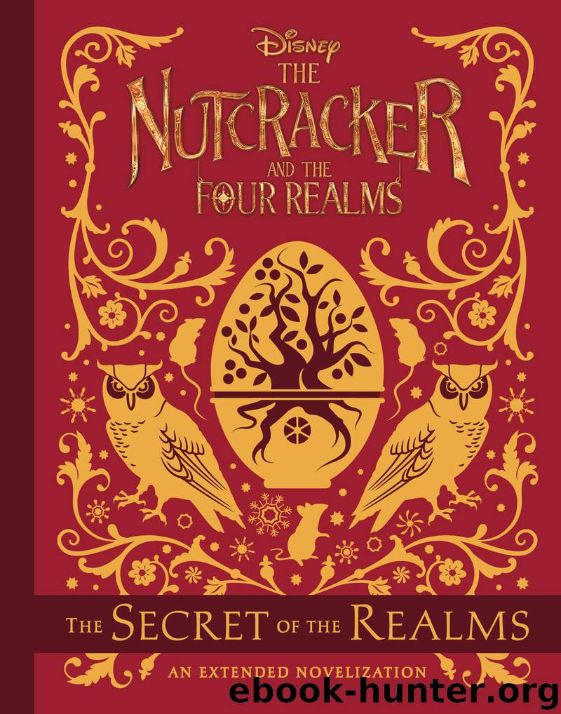 The Secret of the Realms by Meredith Rusu