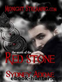 The Secret of the Red Stone by Sydney Addae