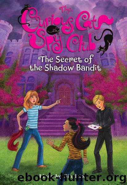 The Secret of the Shadow Bandit by Singleton Linda Joy