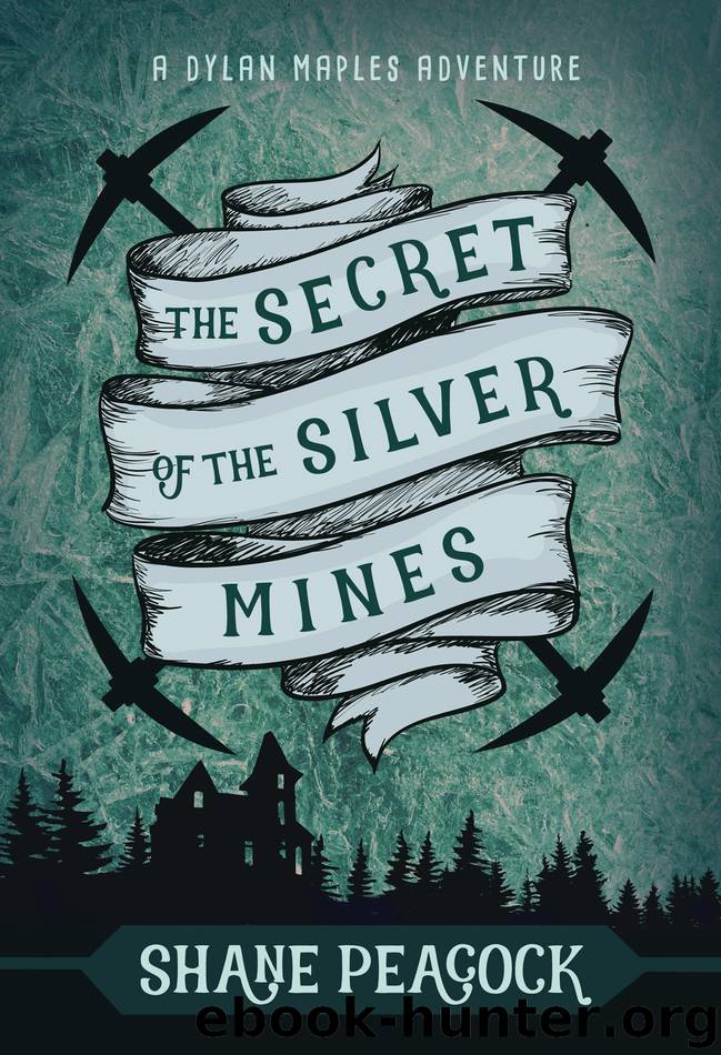 The Secret of the Silver Mines by Shane Peacock