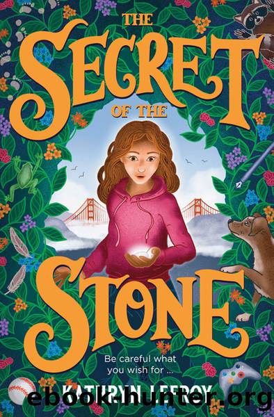 The Secret of the Stone by Kathryn Lefroy