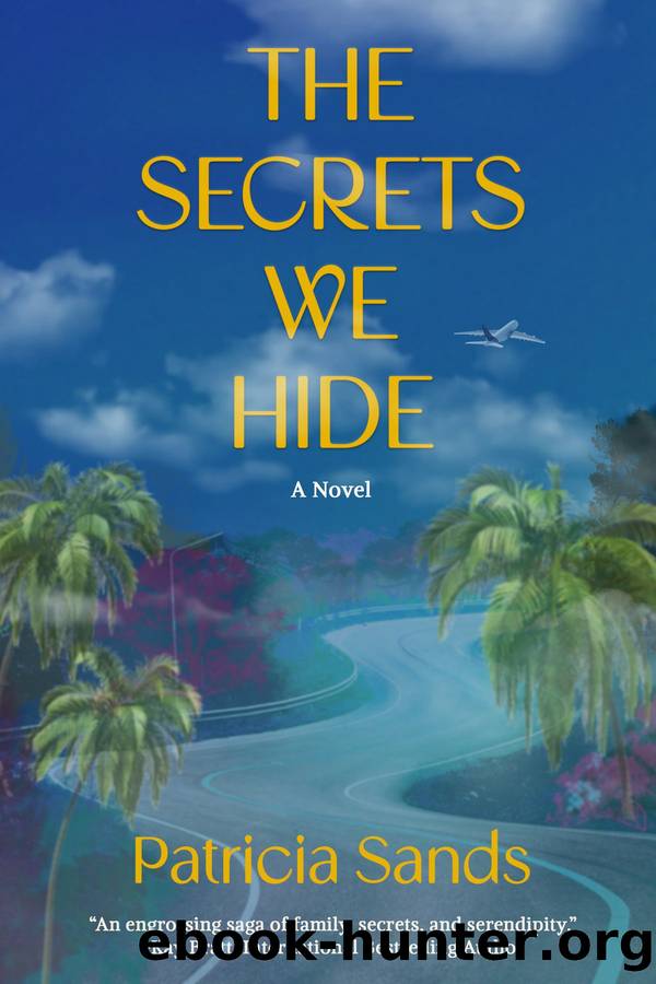 The Secrets We Hide by Patricia Sands