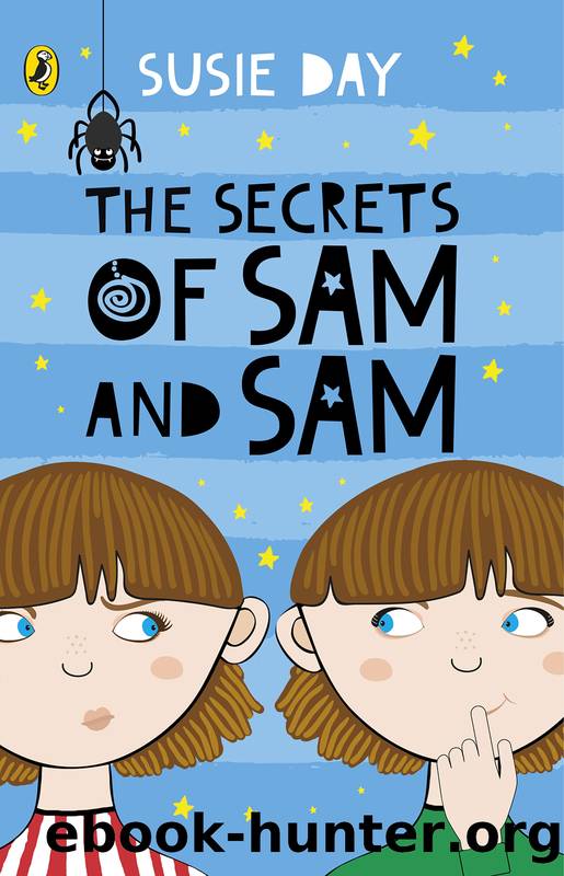 The Secrets of Sam and Sam by Susie Day