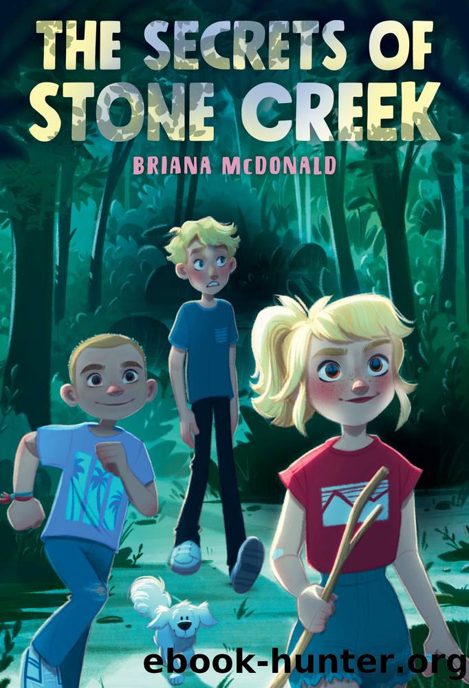 The Secrets of Stone Creek by Briana McDonald