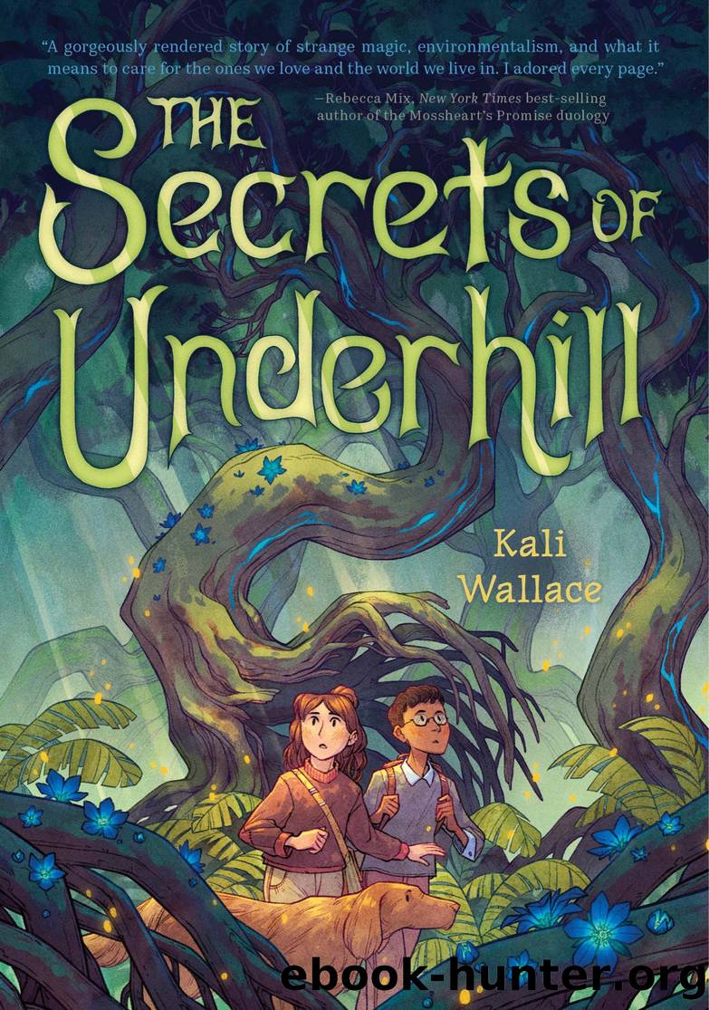 The Secrets of Underhill by Kali Wallace