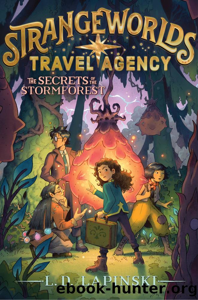 The Secrets of the Stormforest by L. D. Lapinski