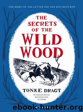 The Secrets of the Wild Wood by Tonke Dragt