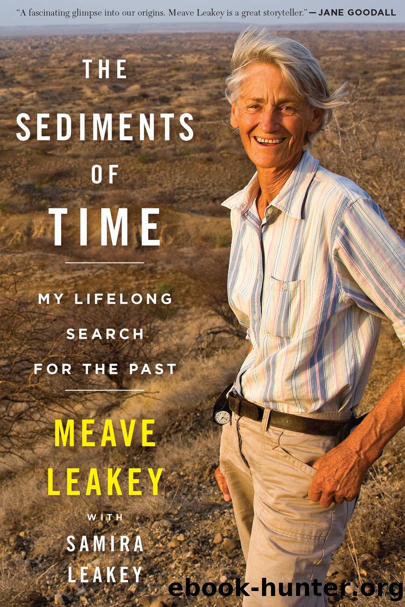 The Sediments of Time by Meave Leakey Samira Leakey