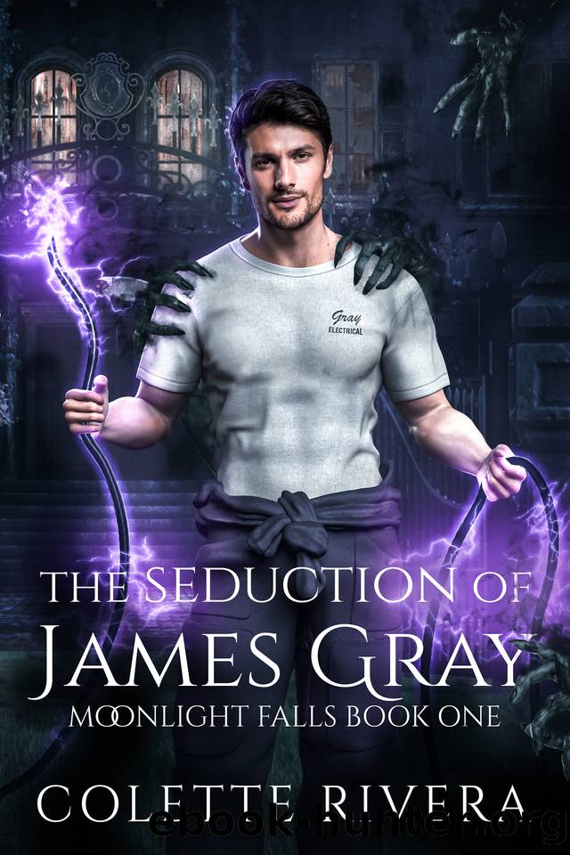 The Seduction of James Gray (Moonlight Falls Book 1) by Colette Rivera